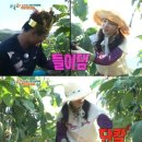 &#39;1박2일&#39; 구하라, 들이대는 김종민에 &#34;이 아저씨가 징그럽게&#34; 이미지