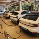 ㈜에코렌트카 이미지