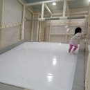 강원특별자치도 영월군 영월군종합사회복지관 이미지