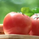 (주)이온팜 이미지