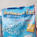 프린세스 캣 이미지