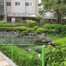 호수마을32단지 이미지