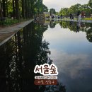 참새의정원 | 서울숲 서울국제정원박람회 후기ㅣ데이트 코스로 추천하는 성수동 가볼만한 곳
