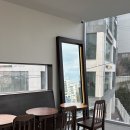 주말에 여유로운 카페 탐방기...☕️🌳 (카페코이라/야음동카페/여천천카페)