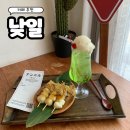 낮일 | 여수 혼여행 카페 | 낮일 메론소다 당고 솔직후기