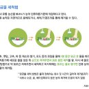 [힐링 푸드(10)] 농약걱정 안하고 채소-과일 먹으려면 이미지