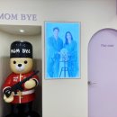 부산애견호텔 애견유치원 맘바이 부산북구점 이미지