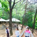 우장산 힐링센터 이미지