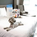 와우(WOW)호텔 이미지