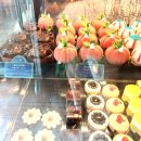 (주)에어패스 | [마카오 여행준비] 에어마카오 타는 꿀팁, 마카오패스 종류, 에그타르트 순위, 육포 살 때 주의사항