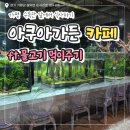 은빛물고기 | [경기도/가평] 아이랑 가기 좋은 아쿠아가든 카페 - 가평 브런치, 물고기 먹이주기체험