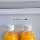 사계스테이 | 제주도오션뷰펜션 찾다가 발견한 사계스테이, 반려견이 더 신났던 제주 여행