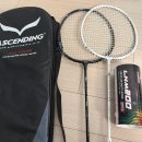 초등 배드민턴 1 | 초등학생 아들과 야간 배드민턴 가성비 어센딩 라켓 세트