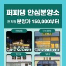 퍼피댕 강아지분양 안심분양소 청주점 말티푸미니비숑토이푸들 이미지