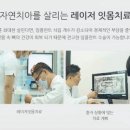 고운 치과기공소 네이버블로그