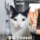 미묘 이미지