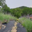 수리마을회관 및 경로당 이미지