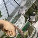 영종대로277번길 이미지