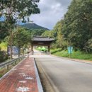 구절초 테마공원 제2주차장 이미지