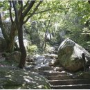 금산-24 이미지