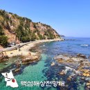 초도항 | 강원 고성 가볼만한곳 백섬해상전망대 스노쿨링 명소 바다 여행지