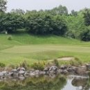 골프드래곤 이미지