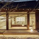 완산애견 이미지