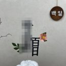 투니토퍼 이미지