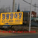 대은주유소 이미지