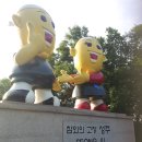 박춘식농장 Daum카페