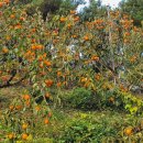 대봉노래연습장 이미지