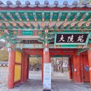돌담길전동스쿠터대여