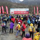레드페이스제주
