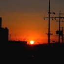 [ 11/27 ] 취미 타로 (초급) | 12월 일상 ☃️ ~안녕히 절망학원~