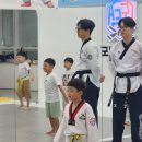 도담태권도장 이미지