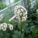 꽃향기 머무는 곳 이미지