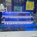 용인불멍카페 산들한우바베큐 서울근교 힐링코스 추천