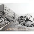 인하대학교사범대학부속고등학교 이미지