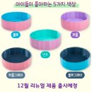 핀아 이미지
