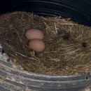 가람빌라 2동앞 | 아이와 함께하기 딱 좋은 저상형패밀리침대 감성의데이스타펜션 2동