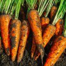 은수농장 이미지