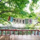 약수고을 이미지