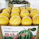 복덩이유통 네이버블로그