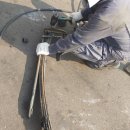 대성쇼바 이미지