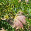 태림농장 이미지