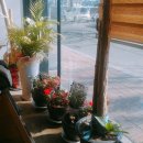 최씨화덕 이미지