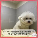 펫타리움 청담점 이미지