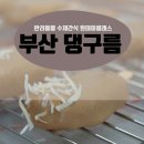 댕구름 | 반려동물 수제간식공방, 부산 댕구름 원데이 클래스 체험 후기