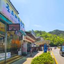 박충원묘 | 왕사남 관람후 다시 찾은 영월 장릉, 영월여행 필수코스 5월 방문후기