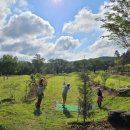 가산수피아 이미지